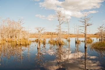 Florida Reflection 