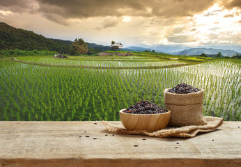 Rice berry in bowl and burlap sack on wooden table with the rice field background