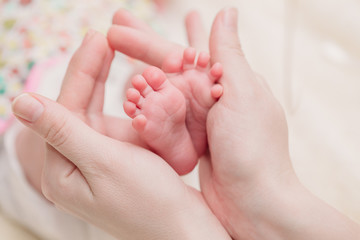 Mom holds small baby legs in hands