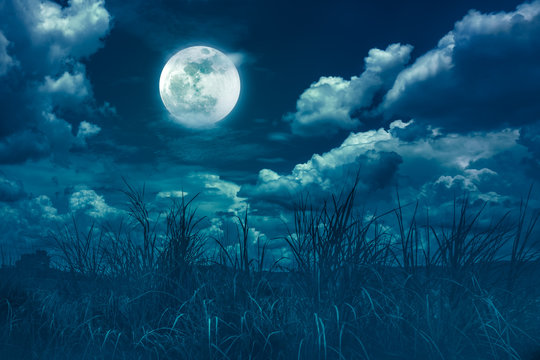 Bright full moon above wilderness area, serenity nature background.