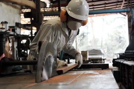 Soft focus of professional young worker in white uniform and safety equipment cutting a piece of wood on table saw machine in carpentry factory.