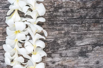Cercles muraux Frangipanier White Plumeria Flower lei garland flat lay on natural old aged grunge wood background.