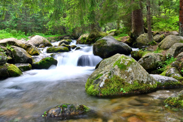 Naklejka na ściany i meble Mountain stream in Tatras National Park