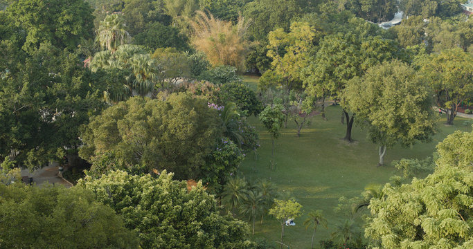 Top View Of Green Park