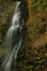 Fototapeta na wymiar 紅葉の降る滝