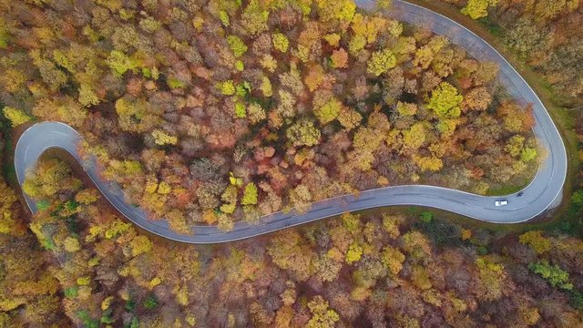 aerial view still video in 4K winding country road in colorful forest in autumn
