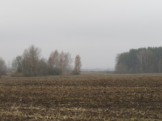 Landscape. Field. Autumn. (The Vast Russia! Sergey, Bryansk.)
