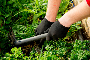 Happy couple gardening