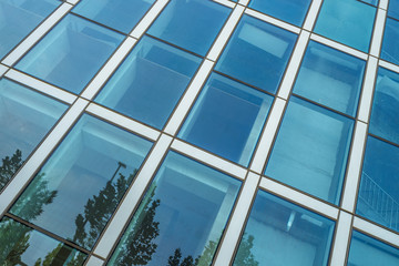 trees Reflected in Windows of Modern Office Building..