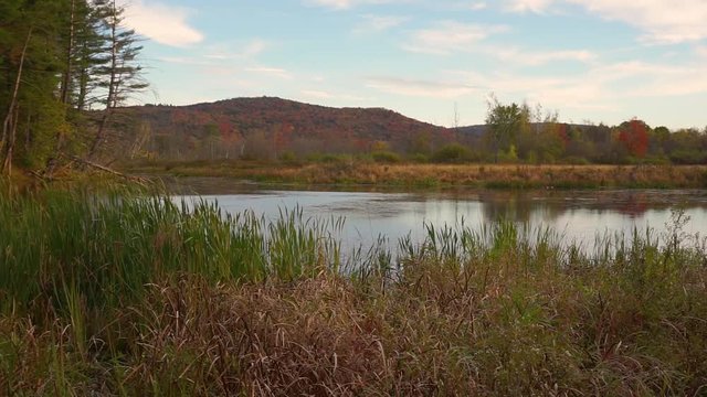 A scenic autumn view of a swamp in the Berkshire Mountains of Western Massachusetts.