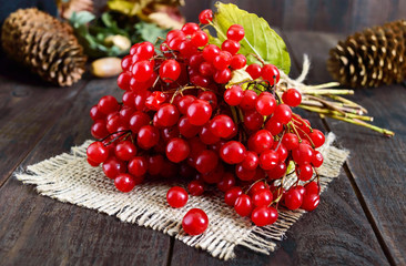 A bunch of red viburnum on a dark wooden background. Gifts of Autumn. Treatment plant. Viburnum berries. Natural remedy.