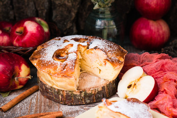 Sliced apple pie on a cut of tree