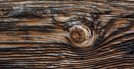 Wood texture