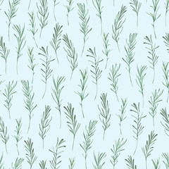 Seamless pattern with rosemary. Rustic floral background. Vintage vector illustration in watercolor style