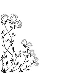 decorative rose pattern frames and greeting cards. For weddings, Valentine's day, Christmas, holiday, celebration, party.