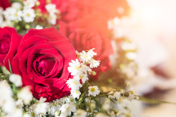 Close up red roses bouquet