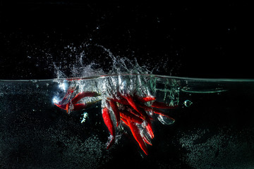 Chilli. Red pepper in water with splash on a black background