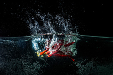 Chilli. Red pepper in water with splash on a black background
