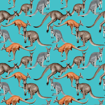 Exotic kangaroo wild animal pattern in a watercolor style. Full name of the animal: kangaroo, wallaroo, wallaby. Aquarelle wild animal for background, texture, wrapper pattern or tattoo.