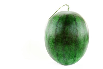 Watermelon on a white background, vertical