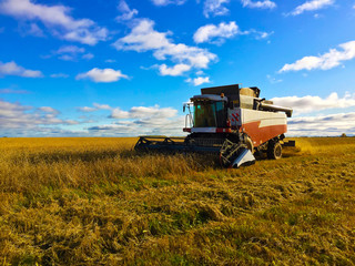 Fototapeta premium agricultural machinery in the field