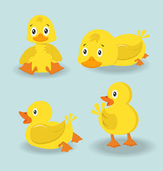 Cute character duck set