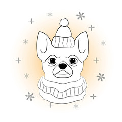 Head of dog in winter hat and scarf on snowflakes background. Pet in winter suit. Hand draw sketch of chihuahua. Coloring page for children and adults. Vector illustration.