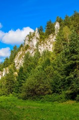 Sunny summer landscape. Beautiful green Jurassic valley in Poland.