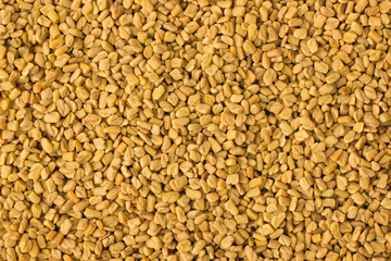 fenugreek seed spice as a background, natural seasoning texture