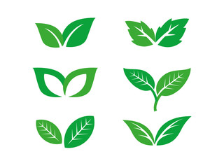 2 leafs logo set