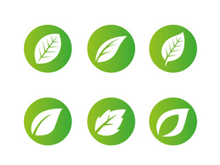 leafs in circle logo set