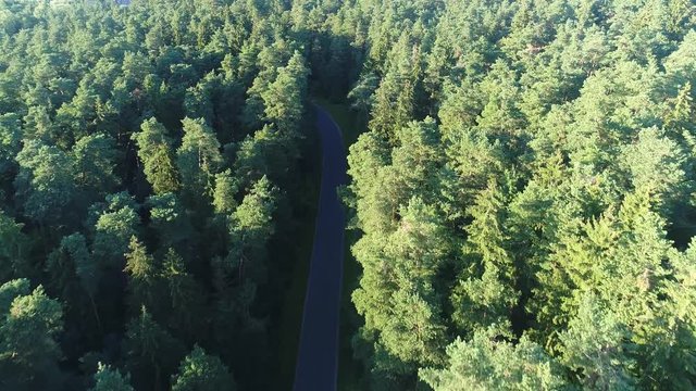 flying above road and forest