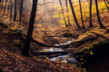 Fototapeta premium Beautiful, fabulous autumn landscape.