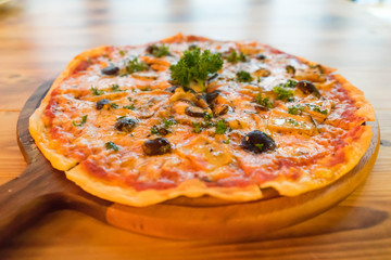 Delicious pizza, shallow depth of field