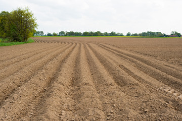 Frisch gepflügter Ackter