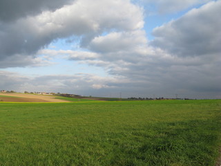 Fototapeta premium balade en campagne