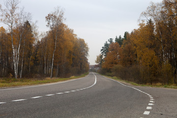 Fototapeta premium droga do jesieni