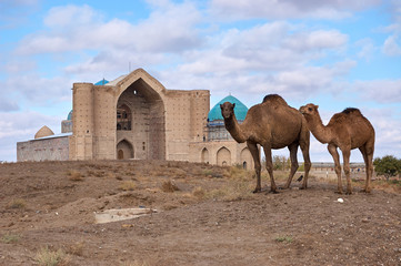 Types of the city of Turkestan. Turkistan, is a city in the South Kazakhstan Region of Kazakhstan,...
