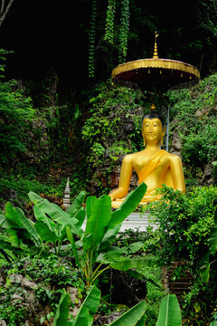 Statue of Buddha