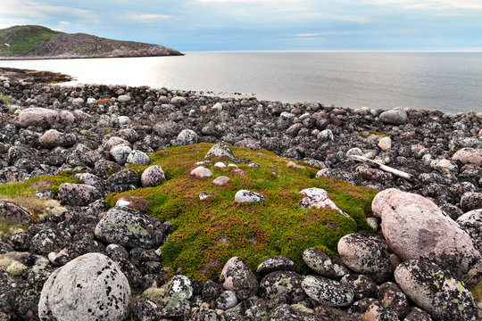 The rocky beach on the coast of the Barents Sea