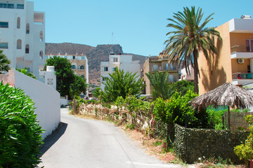 Fototapeta na wymiar road up the hill through palm trees and houses