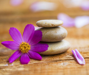Obraz na płótnie Canvas Spa setting with massage stones and flower, wellness and spa balance concept