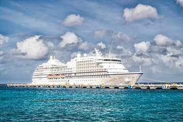 Fototapeta na wymiar Luxury big cruise ship