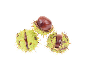 Chestnuts isolated on white 