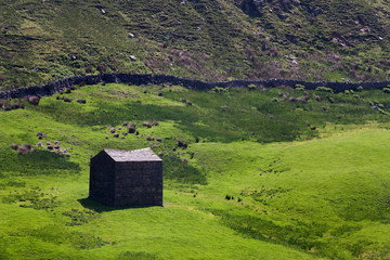 Field barn in Swaledale, Yorkshire Dales, United Kingdom