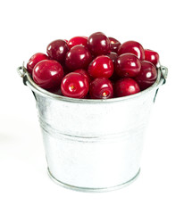 cherry isolated on white