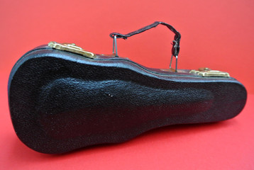 violin with carrying case