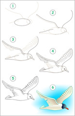 Fototapeta premium Page shows how to learn step by step to draw a flying seagull. Developing children skills for drawing and coloring. Vector image.