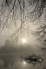 Fototapeta na wymiar dramatic lighting mood with fog at the river, condolence card