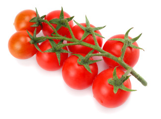 cherry tomatoes isolated on a white background
